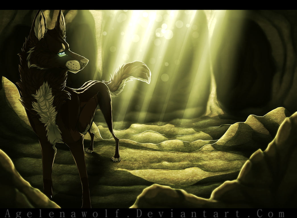 http://pre10.deviantart.net/2ac3/th/pre/f/2014/175/b/0/___hight_lights____by_agelenawolf-d7nsny1.png