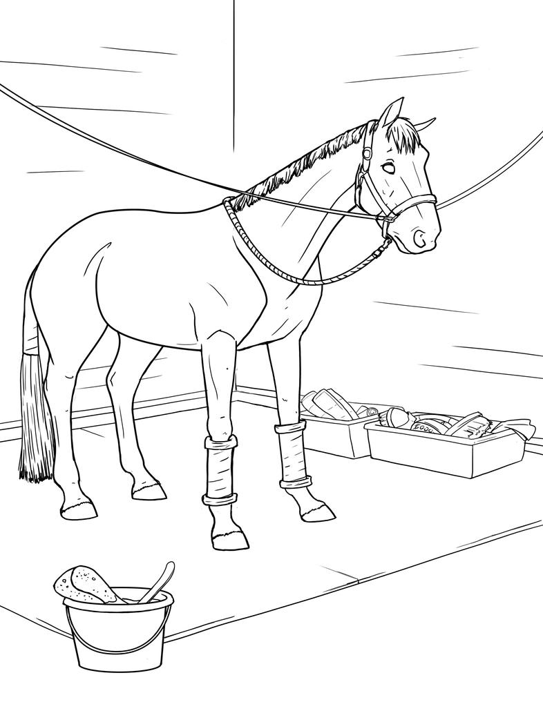 quarter horse coloring pages printable - photo #33