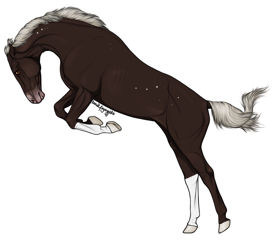 starlight_by_rella_adopts-darqkxc.png