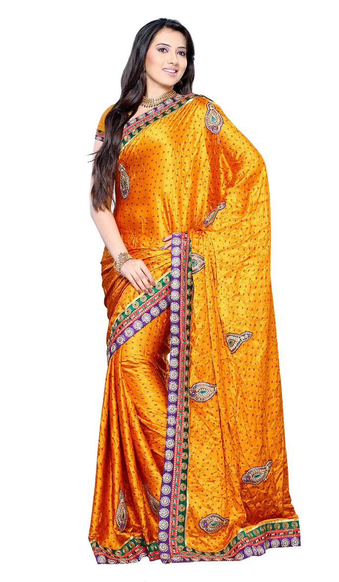 women transparent Indian saree in